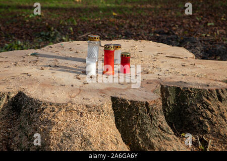grave candles were placed on a freshly sawn off tree stump Stock Photo