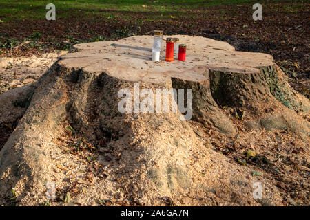 grave candles were placed on a freshly sawn off tree stump Stock Photo