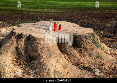 grave candles were placed on a freshly sawn off tree stump Stock Photo
