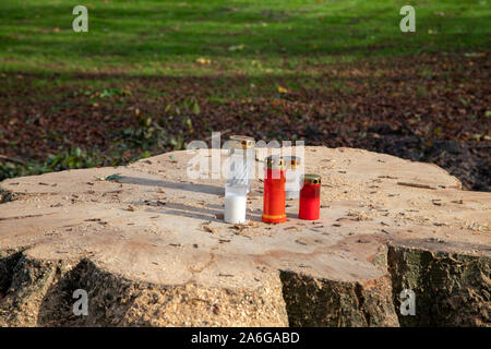 grave candles were placed on a freshly sawn off tree stump Stock Photo