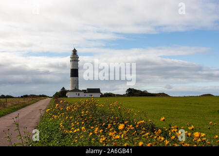Lighthouse Kampen at Island of Sylt in Germany with yellow autumn flowers in the foreground Stock Photo