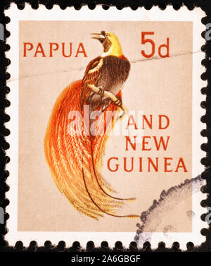 Astonishing bird on Papua New Guinea postage stamp Stock Photo