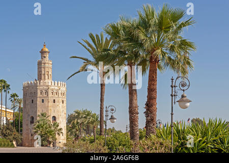Torre del Oro in Sevilla, Andalusia, Spain. Stock Photo