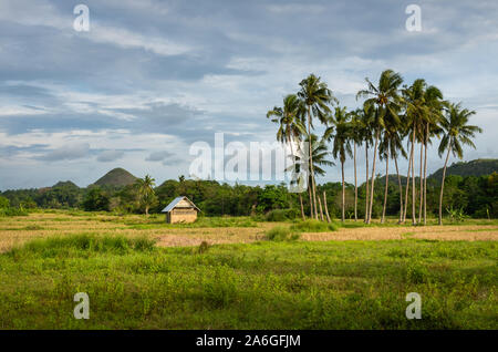 Rural landscape of Bohol Island near to Chocolate Hills, Bohol, Philippines. Stock Photo