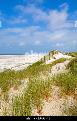The beach Kniepsand and sand dunes on Amrum Island in North Friesland, Schleswig-Holstein, Germany. Stock Photo