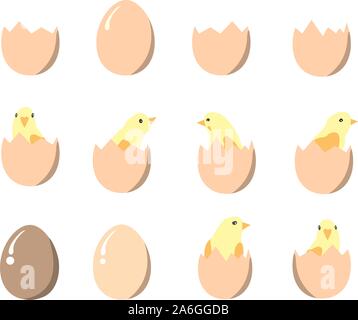 Set of eggs and chickens. Vector Illustration Stock Vector