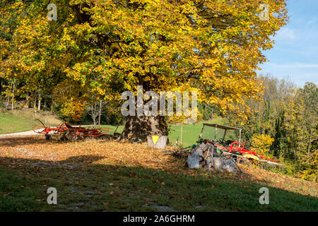 AUTUMN MOOD . HERBSTSTIMMUNG Stock Photo