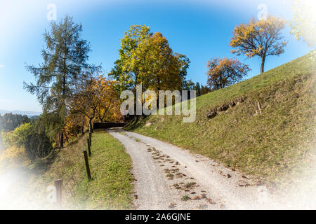 AUTUMN MOOD . HERBSTSTIMMUNG Stock Photo