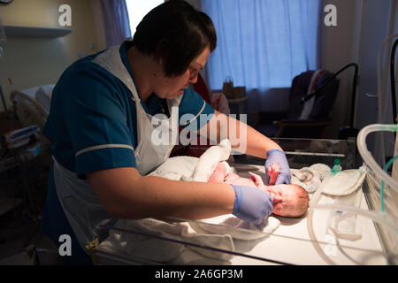 Midwives attend to a young mother giving birth to a premature baby at North Staffordshire Hospital, North Staffs Stock Photo