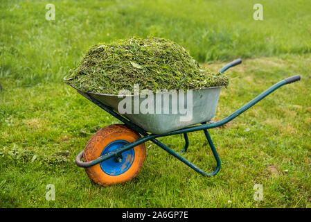 Wheelbarrow full of grass. Garden and lawn care theme. Care services area. Stock Photo