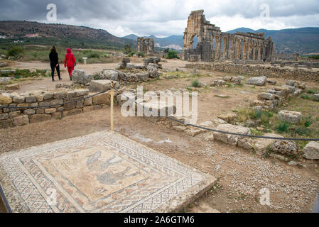 mosaic floor at roman ruins at Volubilis in Morocco Stock Photo