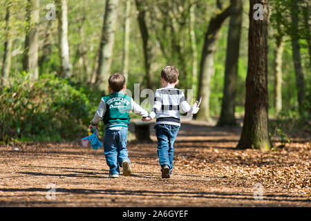 2 little boys walking holding hands, hand in hand at Colchester Country Park, Essex Stock Photo