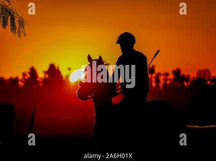 Arcadia, California, USA. 26th Oct, 2019. October 26, 2019 : Horses exercise at sunrise in preparation for the 2019 Breeders Cup at Santa Anita Park in Arcadia, California on October 26, 2019. Scott Serio/Eclipse Sportswire/Breeders Cup/CSM/Alamy Live News Stock Photo