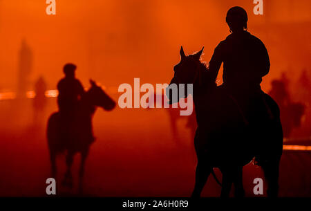 Arcadia, California, USA. 26th Oct, 2019. October 26, 2019 : Horses exercise at sunrise in preparation for the 2019 Breeders Cup at Santa Anita Park in Arcadia, California on October 26, 2019. Scott Serio/Eclipse Sportswire/Breeders Cup/CSM/Alamy Live News Stock Photo