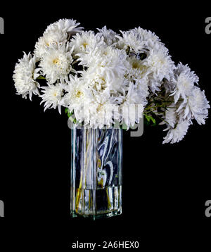 Chrysanthemums are still one of the most popular gifts for Mother's Day. By happy chance, their long, nearly-unpronounceable name ends in 'mum' and th Stock Photo