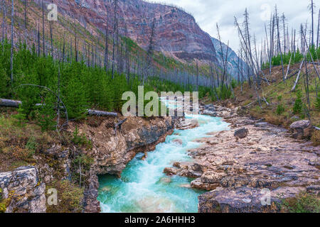 Tokumm Creek in Marble Canyon. Kootenay National Park. British Columbia. Canada Stock Photo