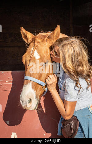 Santa Rosa, California, USA. 26th October 2019. Kincade fire. Pictured is 'Sammy' and her owner, Sahar Bartlett.  Sammy is an animal evacuee from the Kincade fire burning near Healdsburg in Sonoma County, California. The Kincade fire has consumed more than 25,000 acres as of Saturday evening and is only expected to get worse with high winds predicted for early Sunday morning. More than 83,000 persons in Sonoma County have been ordered to evacuate their homes. It is the largest mass evacuation in Sonoma County history. By mid-afternoon Saturday, more than 100 horses had been sheltered at the fa Stock Photo