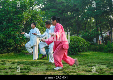 Group of elderly male and female seniors exercising Tai Chi in park early morning Stock Photo