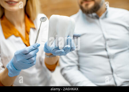 Dentist with patient during a medical consultation, doctor holding tooth model and dental mirror, close-up view Stock Photo