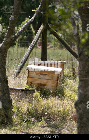 Honey Bee Boxes Stock Photo