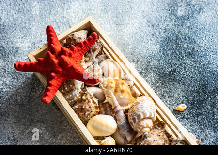 summer concept with wooden box full of sea shells on stone background Stock Photo