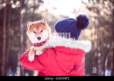 Girl with a dog in her arms. The concept of friendship between a dog and a man. Shiba inu and the girl Stock Photo