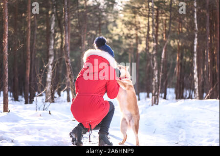 Shiba inu breed dog plays with a girl, gives her a paw, on a beautiful background of a winter forest. Stock Photo