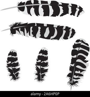 Set of different stylized owl feathers, grey and black color. Stock Vector