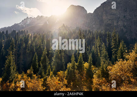 Beautiful landscape of mountain valley with autumn forest at sunset in Kazakhstan Stock Photo