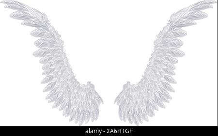Pair of detailed light gray angel wings on white background. Stock Vector