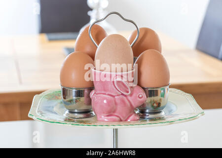 Eggs and Egg cups Stock Photo
