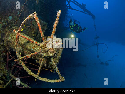 Scuba diver at the overgrown ship wreck 'Hilma Hooker', Bonaire, Netherland Antilles Stock Photo