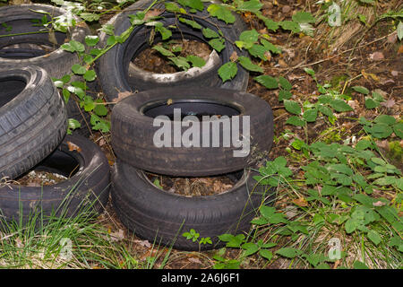 Old tyres illegally dumped or fly tipped in a forest in North Wales UK