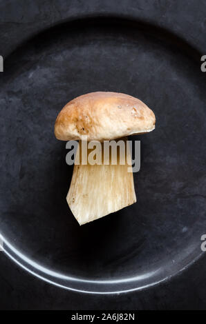 Boletus edulis, penny bun, cep, porcino or porcini, still  life of edible mushrooms in the kitchen