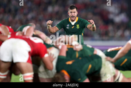 South Afria's Handre Pollard celebrates on the final whistle of the 2019 Rugby World Cup Semi Final match at International Stadium Yokohama. Stock Photo