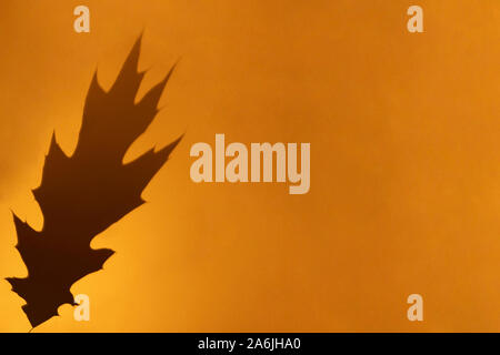 Oak leaf grey shadow on orange color background. Minimal autumn, halloween concept. Overlay effect for photo. Flat lay, top view, copy space. Stock Photo