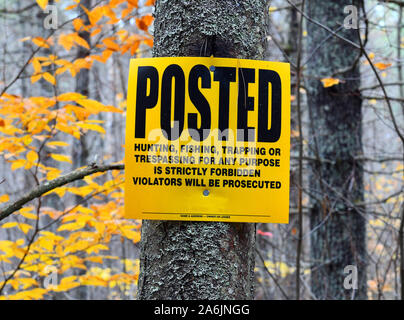 Posted sign on tree in forest forbidding hunting, fishing trapping or