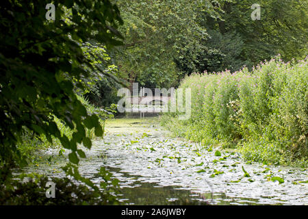 Small stone bridge over a Cambridgeshire drainage dyke in summer, England, UK. Stock Photo