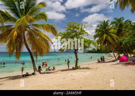 Anse Figuier, Martinique, France - 14 August 2019: Anse Figuier Tropical Beach in Martinique Stock Photo