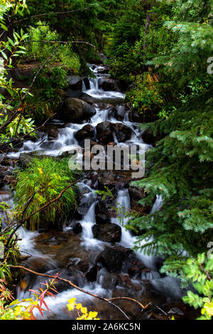 A Mountain Stream in Summer Stock Photo