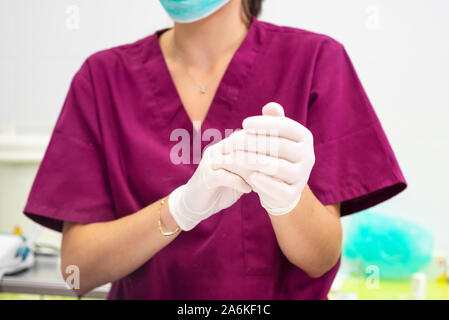 Unrecognizable female Veterinarian, putting on gloves .  Stock Photo