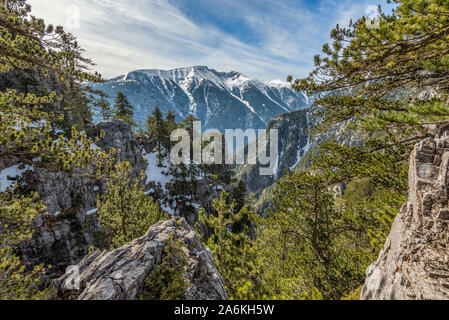 Landscape in Olympus mountain with the forest and Kalogeros peak Stock Photo