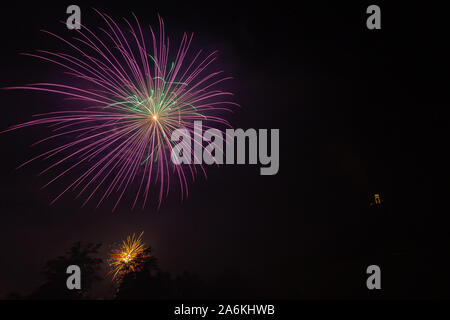 Purple and green fireworks over trees silhouette Stock Photo
