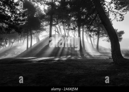 Stunning dappled light as the sun streams through trees on a misty morning, UK landscapes Stock Photo