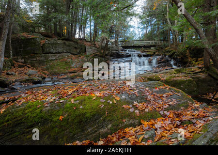 Potts Falls in autumn, tucked away in Bracebridge, Ontario. Stock Photo