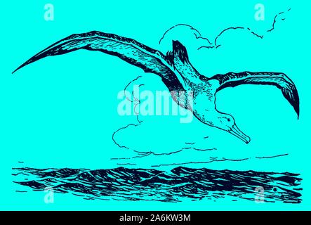 Albatross is flying over the sea and starting to nosedive on a blue background. Editable in layers Stock Vector