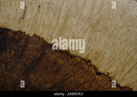 Nature walnut burl wood striped texture background Stock Photo