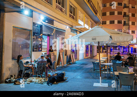 Valencia Spain Hispanic,Ciutat Vella,old city,historic center,neighborhood plaza,sidewalk cafe,table,man,woman,dogs,dog walker,relaxing,night evening, Stock Photo