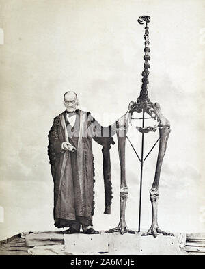 Sir Richard Owen (1804 – 1892) with giant moa skeleton, English biologist and paleontologist Stock Photo