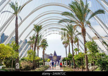 Valencia Spain,las Artes y las Ciencias,City of Arts & Sciences,L'Umbracle,Santiago Calatrava,architecture,sculpture botanical garden,parabolic arches